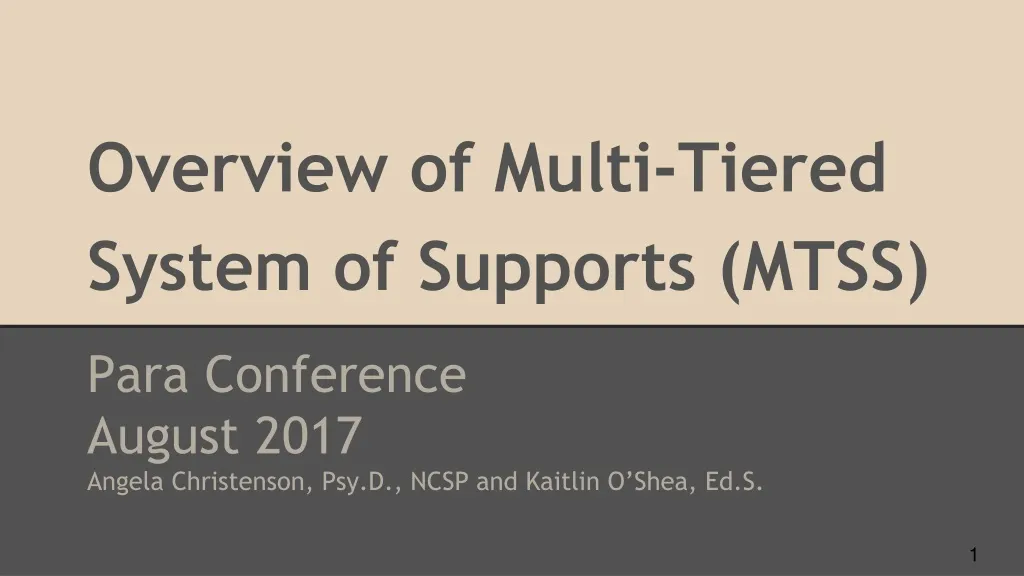 overview of multi tiered system of supports mtss