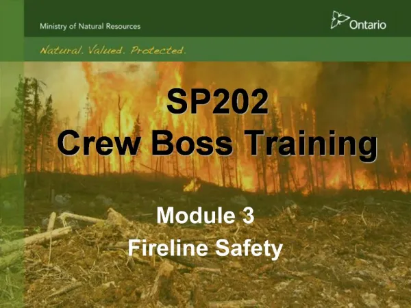 SP202 Crew Boss Training