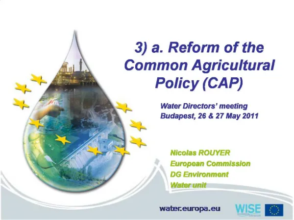 3 a. Reform of the Common Agricultural Policy CAP