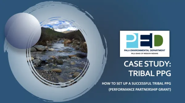 Case study: Tribal PPG