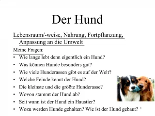 Der Hund - slide 1