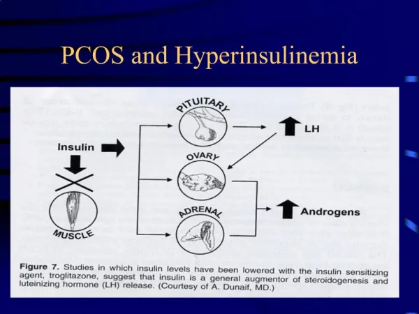 PCOS and Hyperinsulinemia