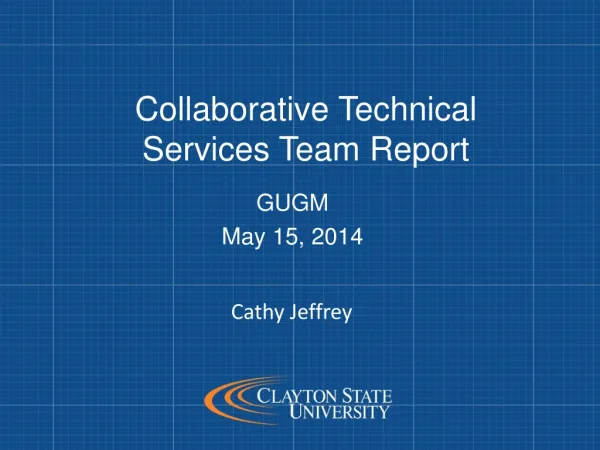 Collaborative Technical Services Team Report