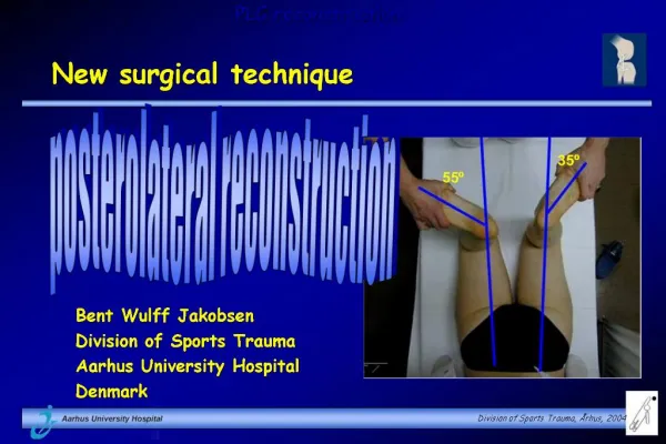 Posterolateral reconstruction