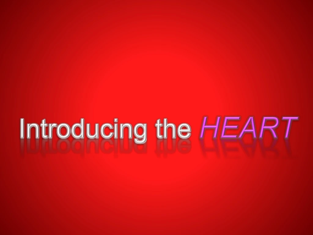 introducing the heart