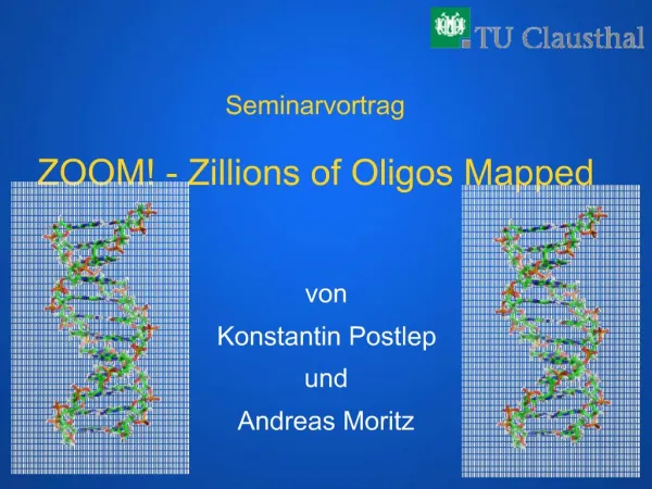 Seminarvortrag ZOOM - Zillions of Oligos Mapped