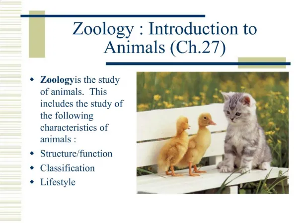 Zoology : Introduction to Animals Ch.27