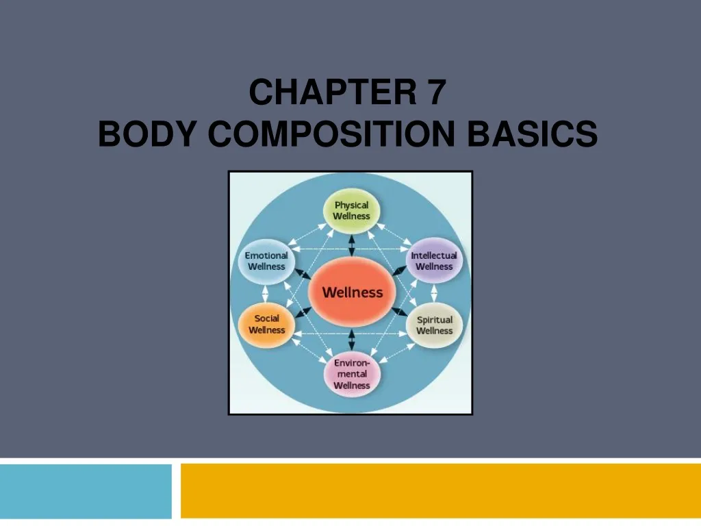 chapter 7 body composition basics