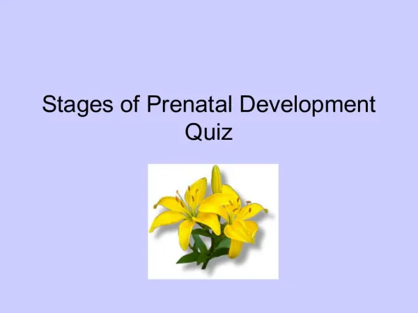 Stages of Prenatal Development Quiz