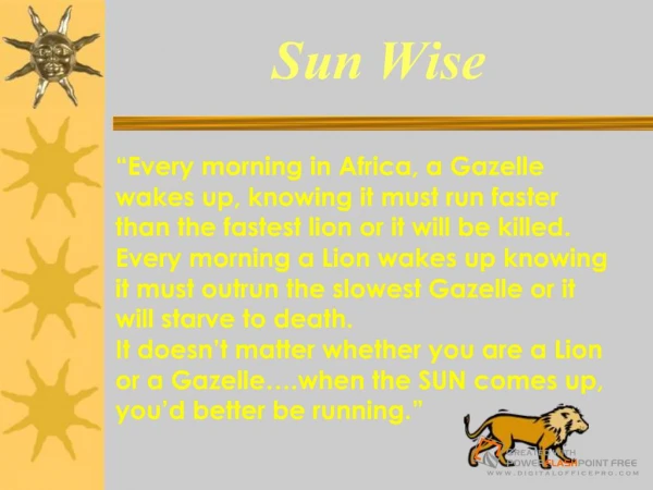Sun Wise