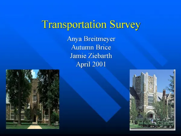 Transportation Survey