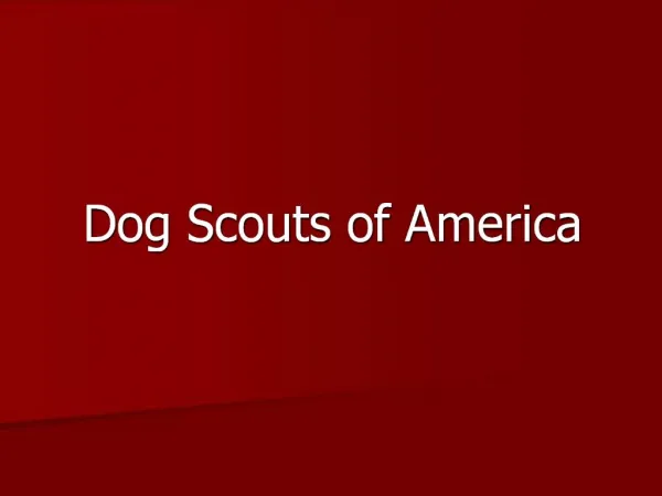 Dog Scouts of America