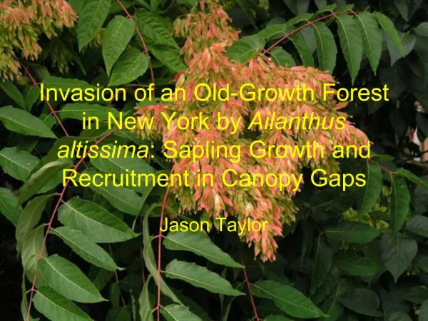 Invasion of an Old-Growth Forest in New York by Ailanthus altissima: Sapling Growth and Recruitment in Canopy Gaps