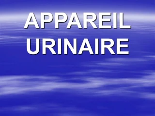 APPAREIL URINAIRE - slide 1