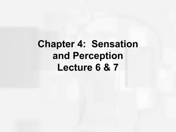 Chapter 4: Sensation and Perception Lecture 6 7