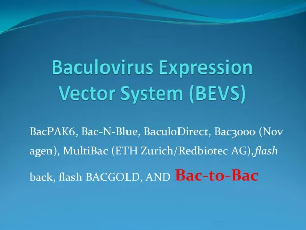 Baculovirus Expression Vector System BEVS