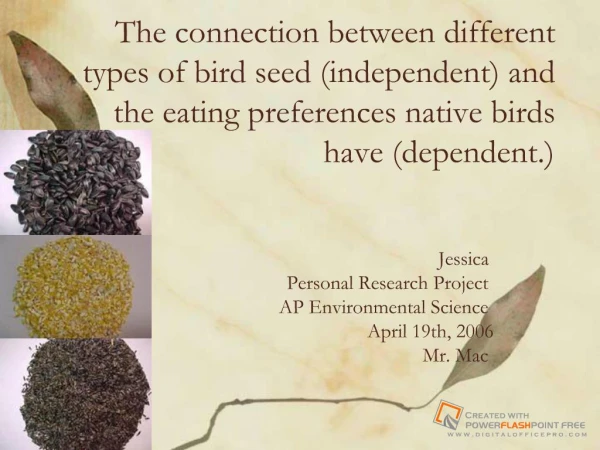 The connection between different types of bird seed independent and the eating preferences native birds have dependent.