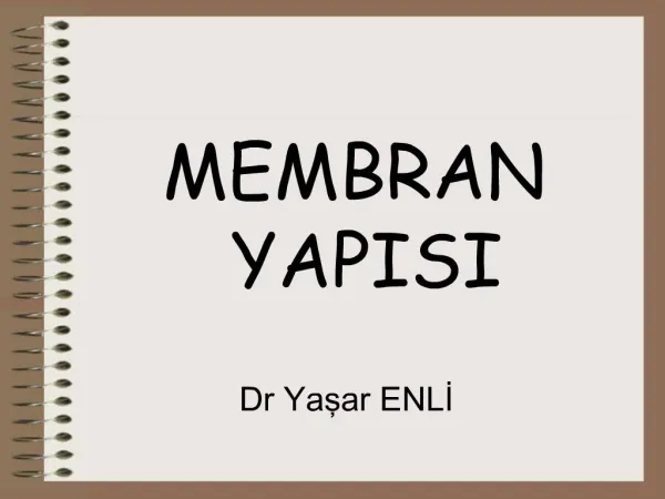 MEMBRAN YAPISI Dr Yasar ENLI