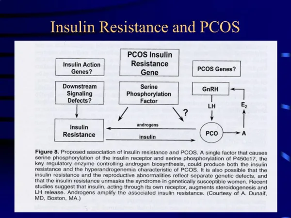Insulin Resistance and PCOS