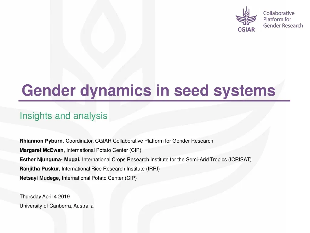 gender dynamics in seed systems