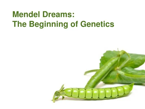 Mendel Dreams: The Beginning of Genetics