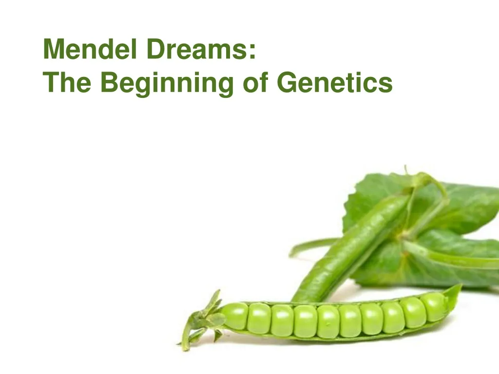 mendel dreams the beginning of genetics