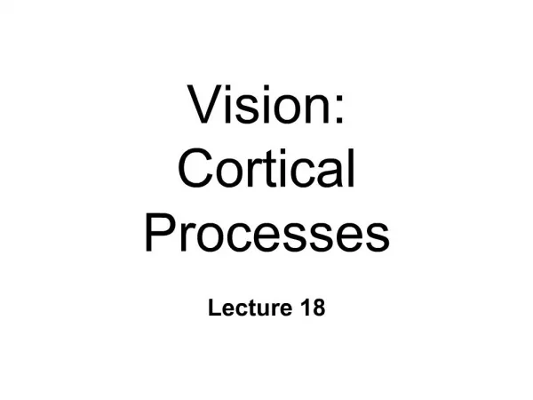 Vision: Cortical Processes