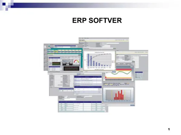 Pojam ERP softvera