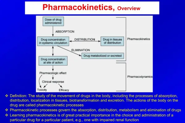 Pharmacokinetics, Overview