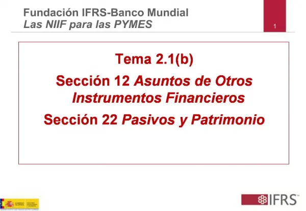 Tema 2.1b Secci n 12 Asuntos de Otros Instrumentos Financieros Secci n 22 Pasivos y Patrimonio