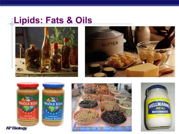 Lipids: Fats Oils
