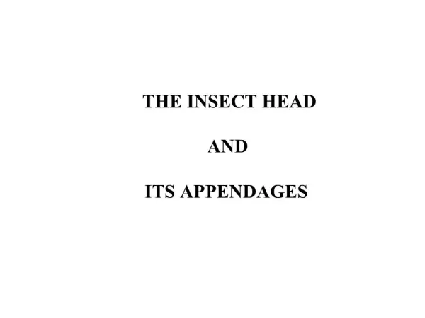 THE INSECT HEAD AND ITS APPENDAGES