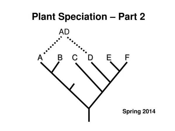 Plant Speciation – Part 2