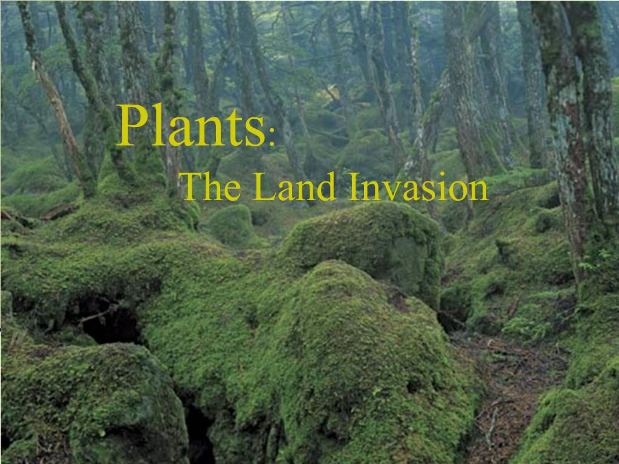 PPT - Plants: The Land Invasion PowerPoint Presentation, free download ...