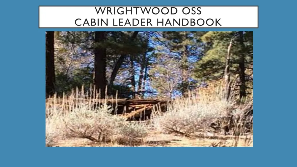 wrightwood oss cabin leader handbook