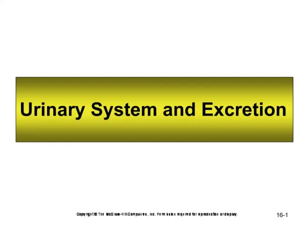 Urinary System and Excretion