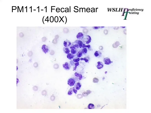 PM11-1-1 Fecal Smear 400X