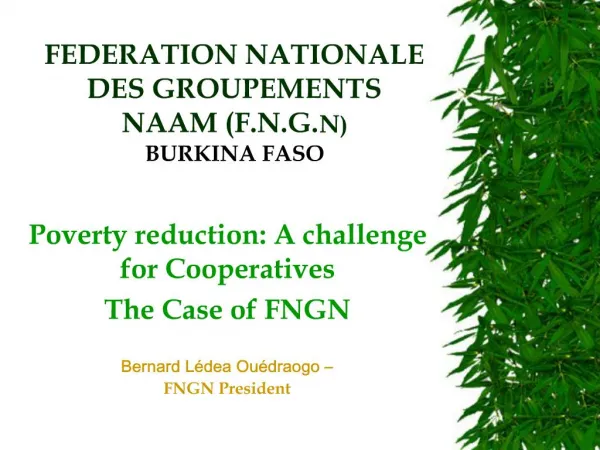 FEDERATION NATIONALE DES GROUPEMENTS NAAM F.N.G.N BURKINA FASO