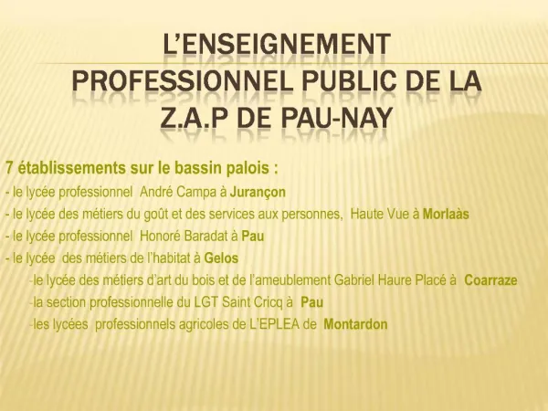 L ENSEIGNEMENT PROFESSIONNEL PUBLIC DE LA Z.A.P DE PAU-NAY