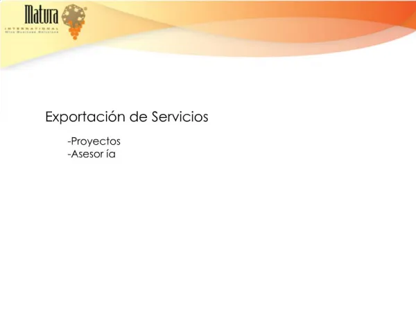 Exportaci n de Servicios