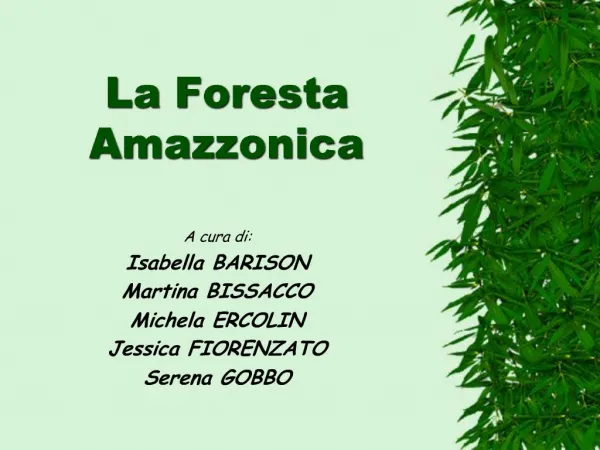 La Foresta Amazzonica