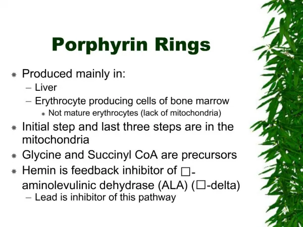 Porphyrin Rings