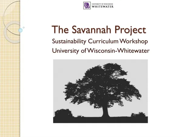 The Savannah Project
