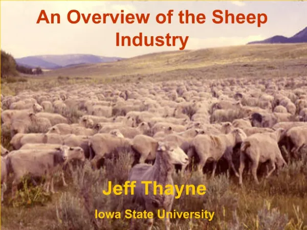 Advantages of Sheep Production