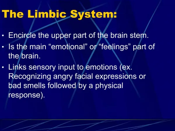 The Limbic System: