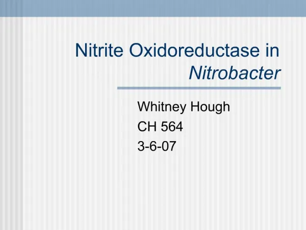 Nitrite Oxidoreductase in Nitrobacter