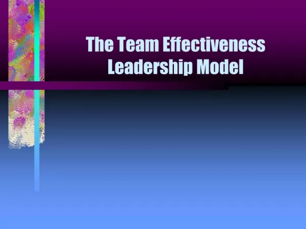 The Team Effectiveness Leadership Model