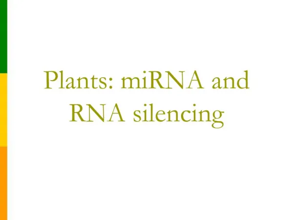 Plants: miRNA and RNA silencing