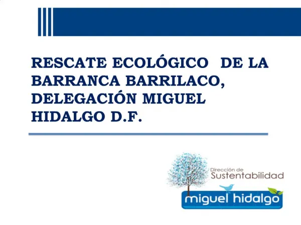 RESCATE ECOL GICO DE LA BARRANCA BARRILACO, DELEGACI N MIGUEL HIDALGO D.F.