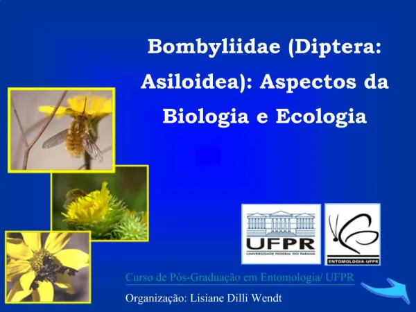 Bombyliidae Diptera: Asiloidea: Aspectos da Biologia e Ecologia